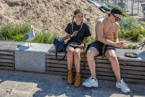 meisje en jongen met meeuw