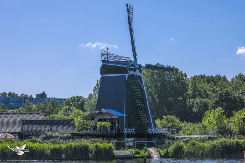 molen