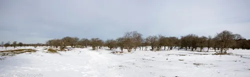 naamloos panorama awd sneeuw