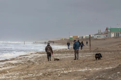noordwijk strand