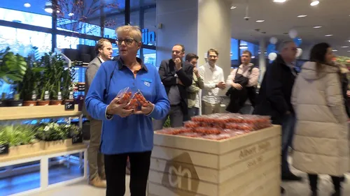 opening ah snapshot 03