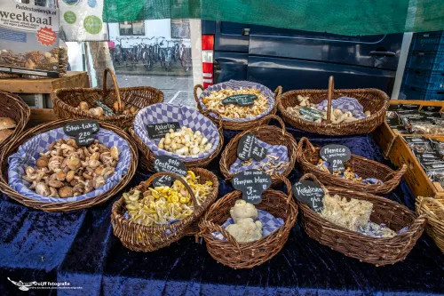 paddenstoelen eetbaar