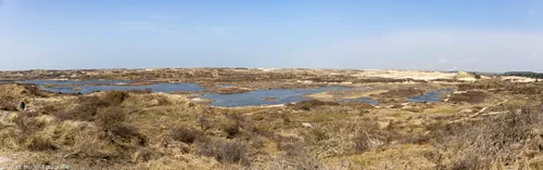 pano kennemerduinen maart 2021 wim meijer fotografie