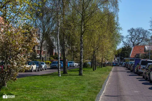 pijnboomstraat