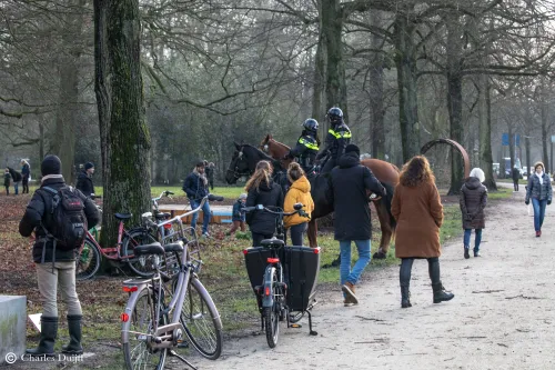 politie te paard duo