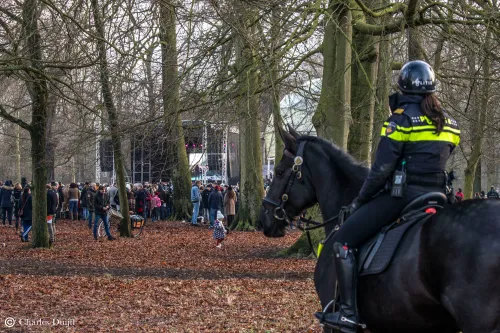 politie te paard