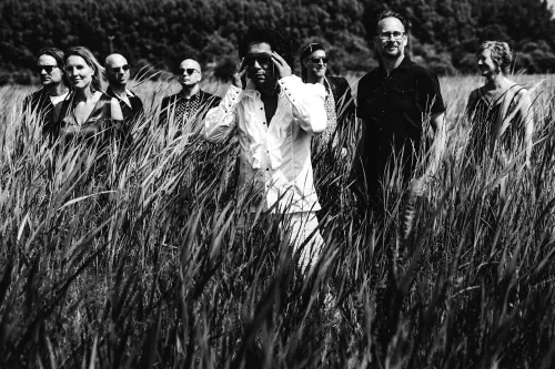 publiciteitsfoto thin white duke