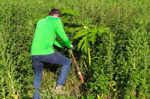 rob vd wel kopieren 1