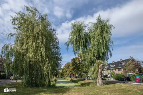 rollandslaan sloot kroos