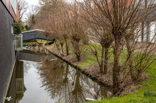 schoolevaer reiger b