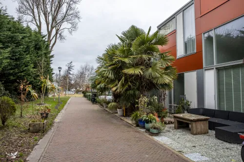 schoolevaer tropisch