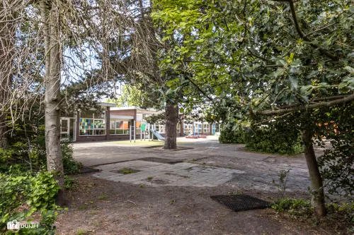 schoolplein tussen bomen