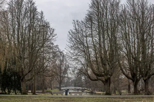 schoterbos brugje zl
