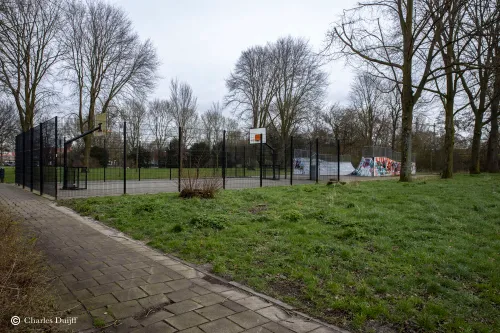 skatebaan haarlem hoog