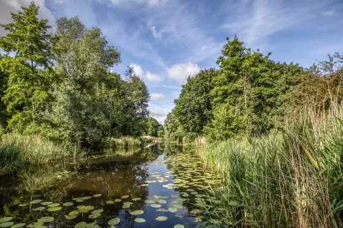 sloot oude slot fraai