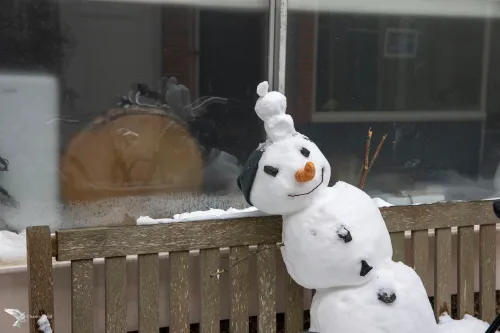 sneeuwpop breestraat