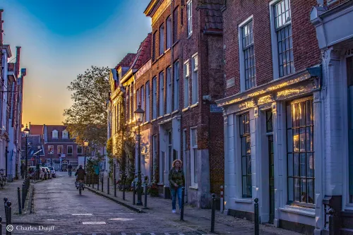 sp woudestr onderg zon