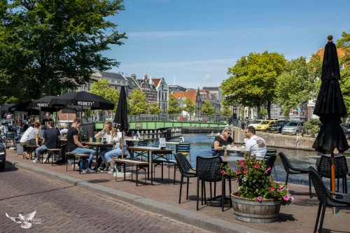 spaarne terras44