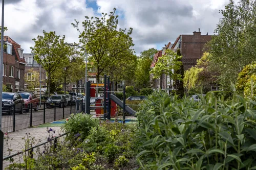 speeltuin haitsma m str