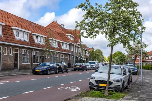 steenbokstraat