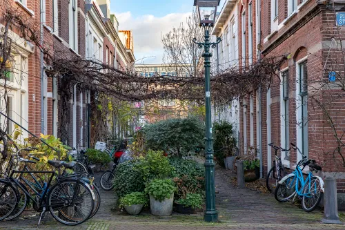 straatje met groen a