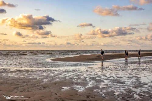 strangers on the shore