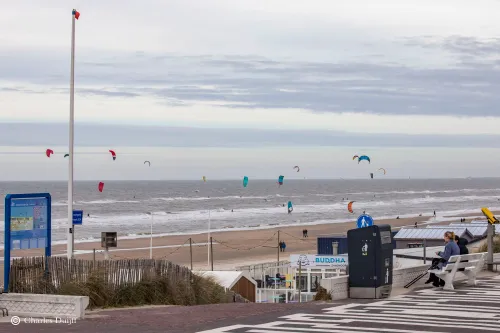 surfers vanaf boulevard