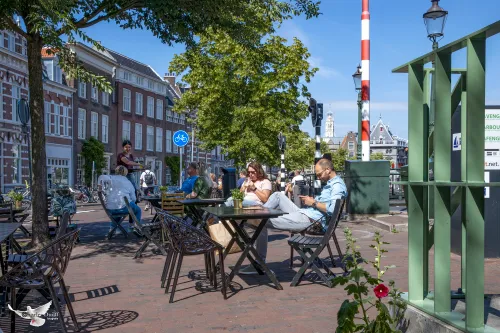 terras spaarne2