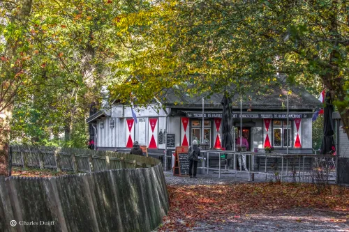 theehuis haarlemmerhout