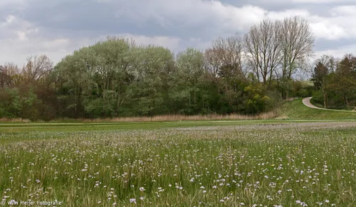 tumblr n3phfz6pd31svvyvco10 1280