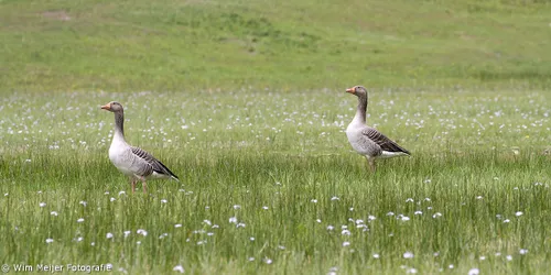 tumblr n3phfz6pd31svvyvco8 1280