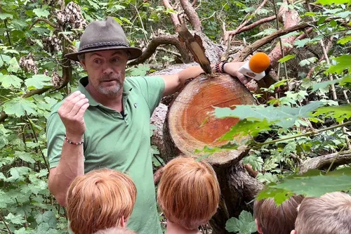 whatsapp image 2023 08 19 at 100059 1 kopieren