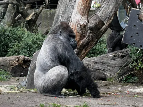 whatsapp image 2023 10 02 at 090943