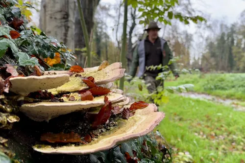 whatsapp image 2023 10 29 at 113801