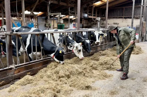 whatsapp image 2023 11 04 at 171809