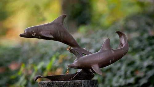 wim meijer fotografie westerveld banner 915x518