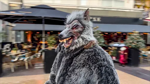 wolf