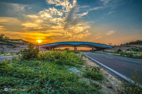 zeeweg natuurbrug sunset