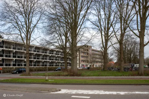 zijlweg richting campus
