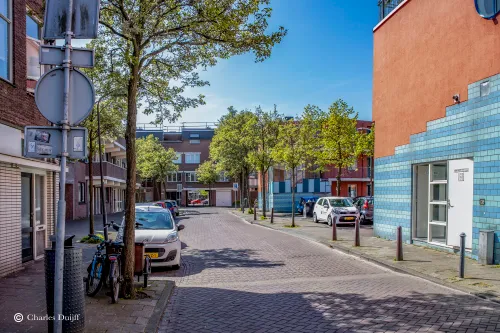zuid polderstraat