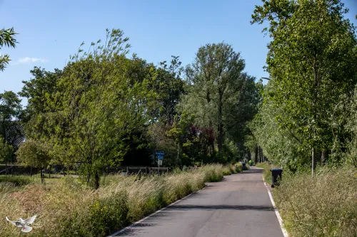 zuid schalkwijkerweg2