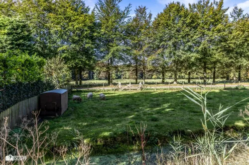 zuider tuindorpslaan b