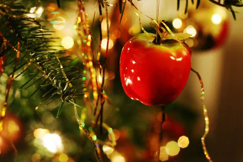 image from rawpixel id 6027676 jpeg kopie2