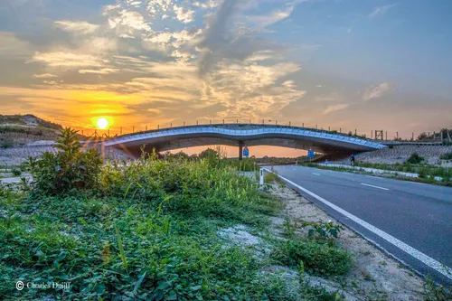 zeeweg natuurbrug sunset