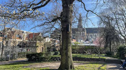 vleermuiskast wijngaardtuin 3 kopie