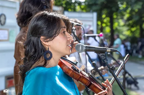 uitgelicht houtfestival