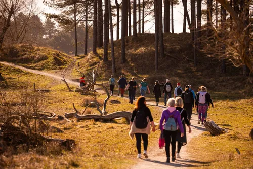 TXTOTpREFQirpAkr2cm9aeZShXGhK0ySrU7yD8kr