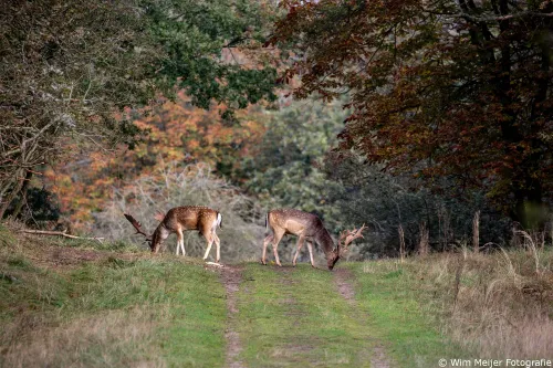 510618871_10231196569603616_8960556997060931121_n