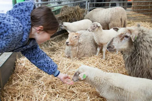 boerderij-zorgvrij-paasactiviteit-02