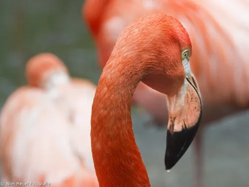 10363465 838789239466363 2910063845915138236 o